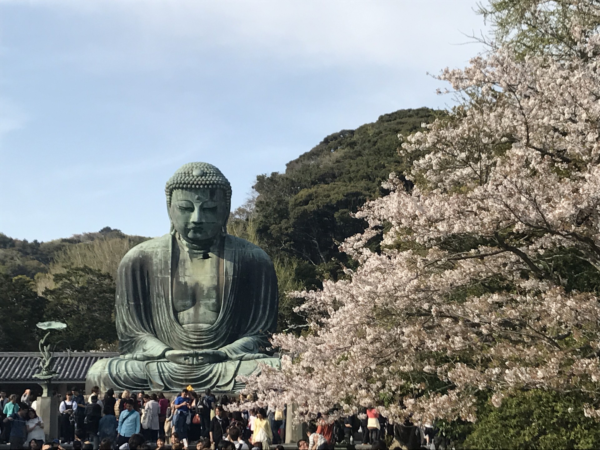 Buda iz Kamakure
